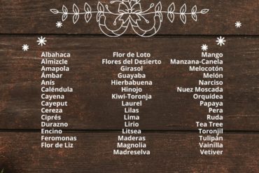 Curso Teórico Práctico: La aplicación de la aromaterapia en los sistemas corporales