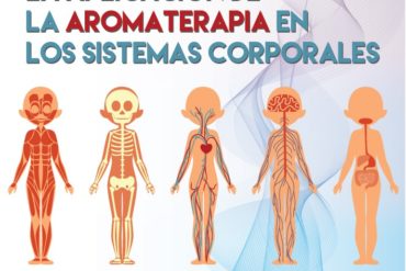 Aromas Disponibles en tienda Morelia